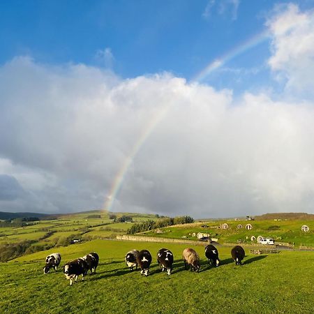 Shepherds View Rhayader Buitenkant foto